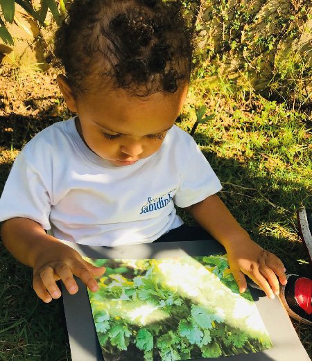 Tudo começa nos primeiros anos